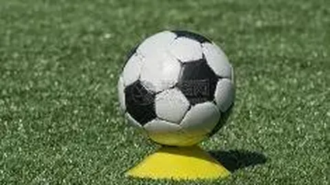 英皇娱乐 资讯 100433 qsf