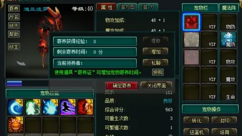 黑龙江：冰雪精英摇篮，探寻冠军诞生地秘境